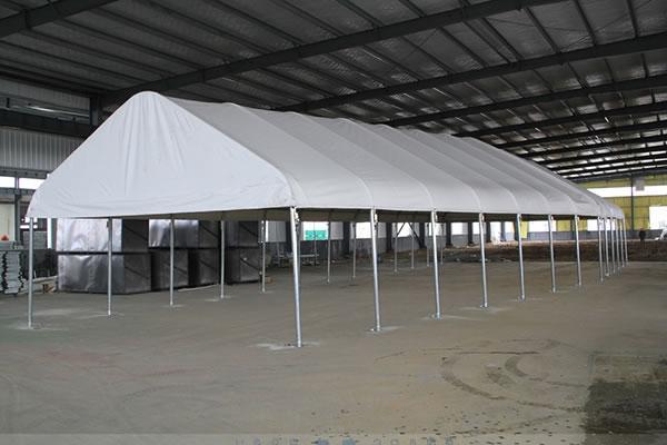 Special pattern high quality canopy