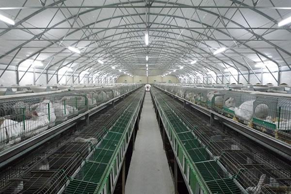 Каркасно-тентовый ангар для содержания кроликов